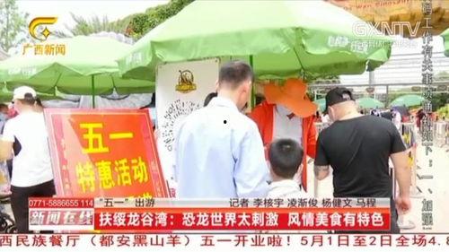 隆安县新闻视频,聚焦本土发展动态与社区故事